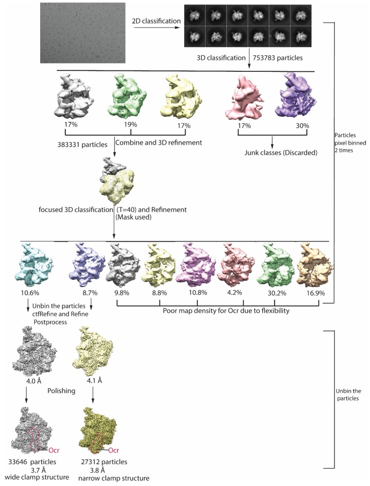 Figure 2—figure supplement 1.