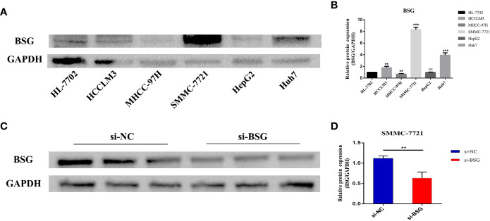 Figure 11