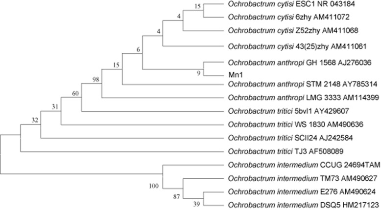 Fig 1