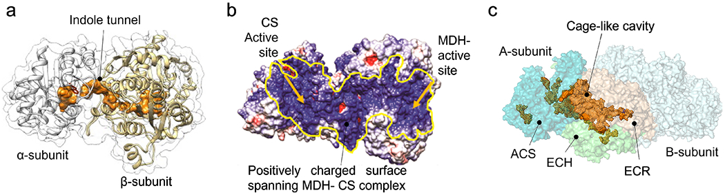 Figure 3.