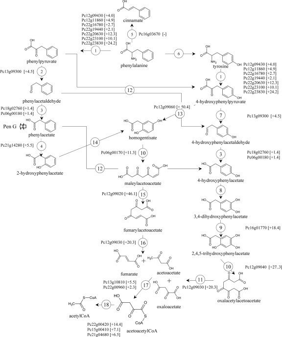 Fig 3