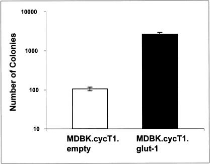 FIG. 4.