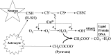 Fig. 10.