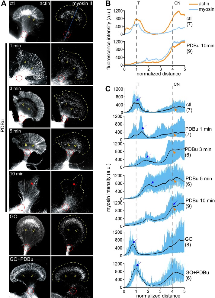 FIGURE 3: