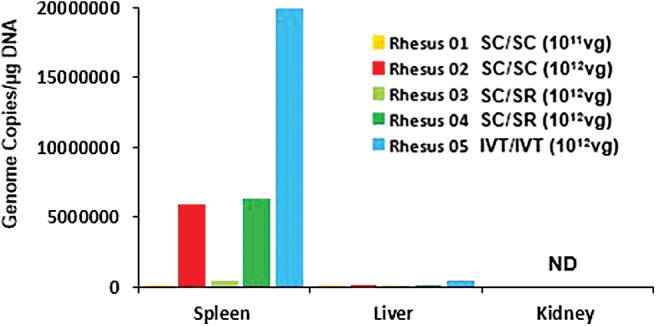 Figure 5.