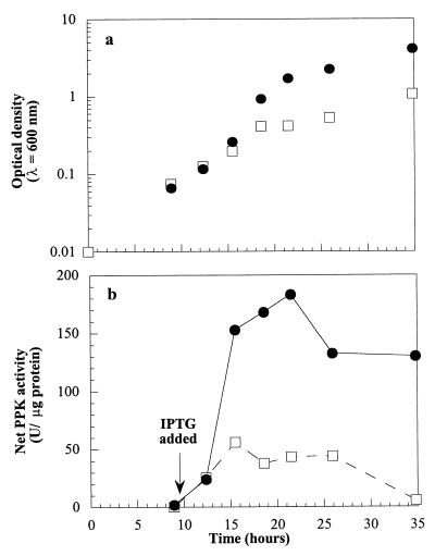 FIG. 5