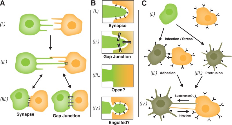 FIGURE 1: