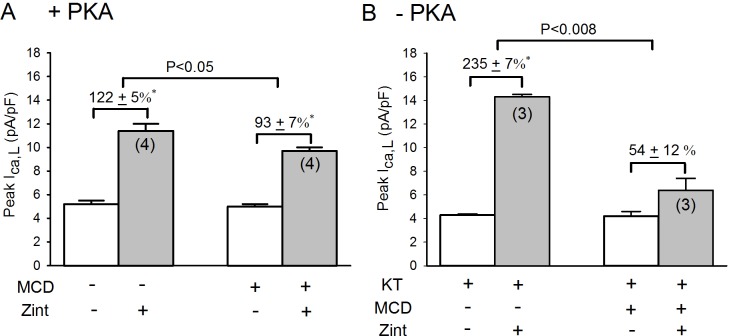 Fig 10