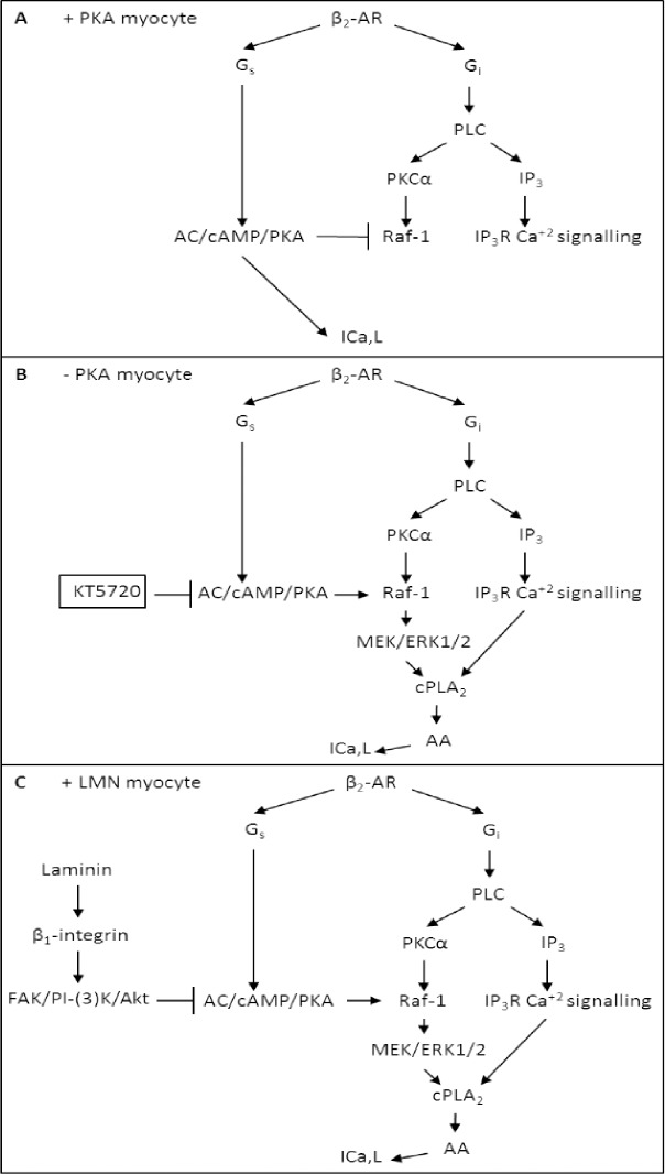 Fig 11