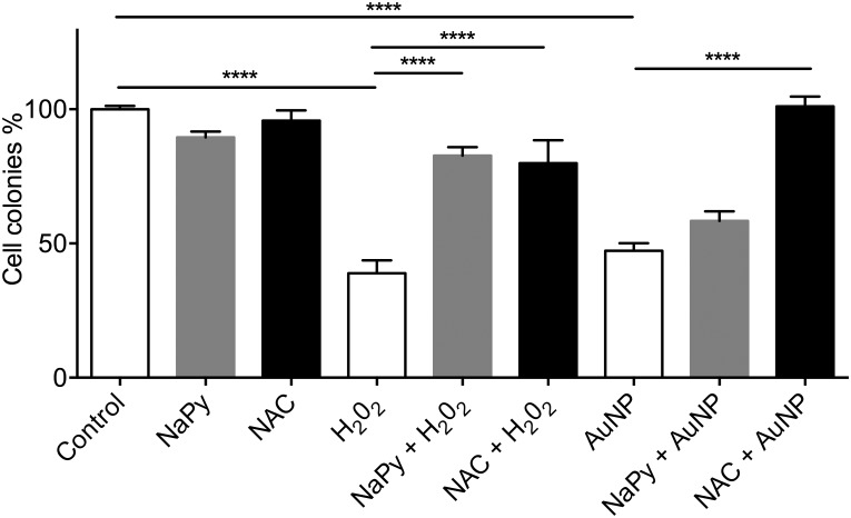 Fig 6