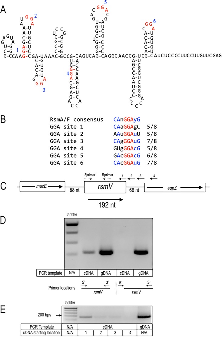 FIG 1