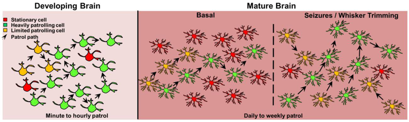 Figure 3: