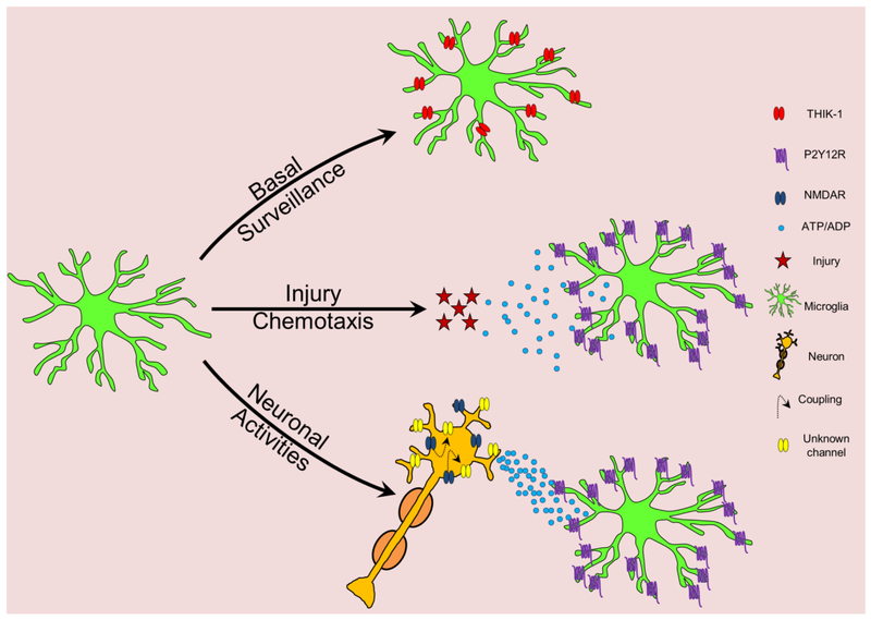 Figure 2: