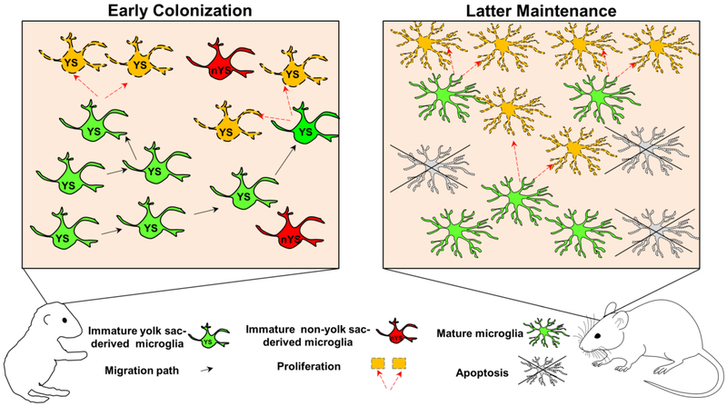 Figure 1: