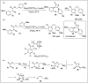 Scheme 10