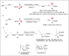 Scheme 15