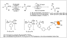 Scheme 18