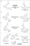 Scheme 4