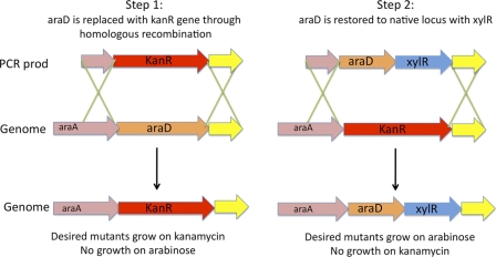 Fig 4