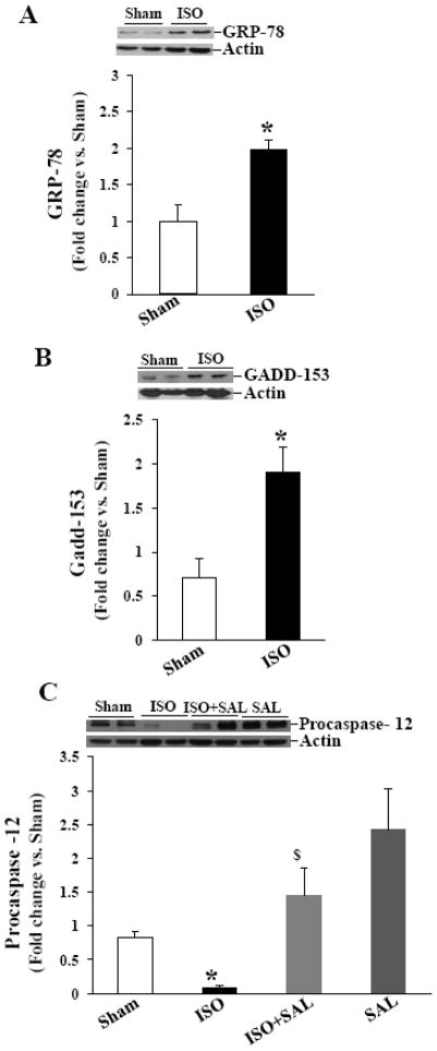 Fig 7