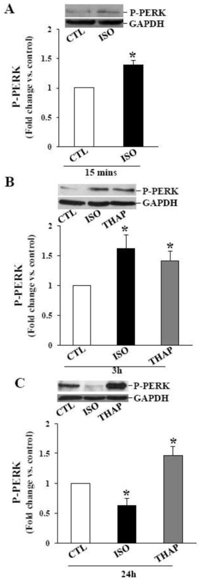 Fig 5