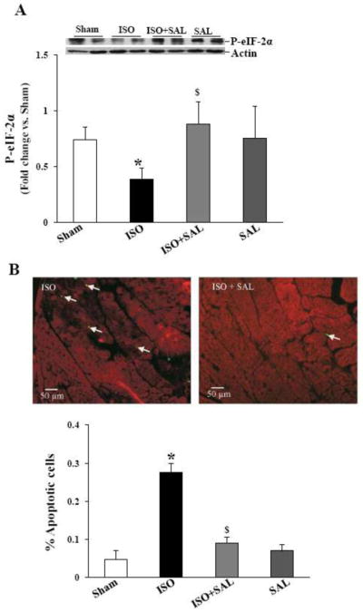 Fig 8