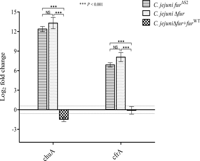 FIG 2