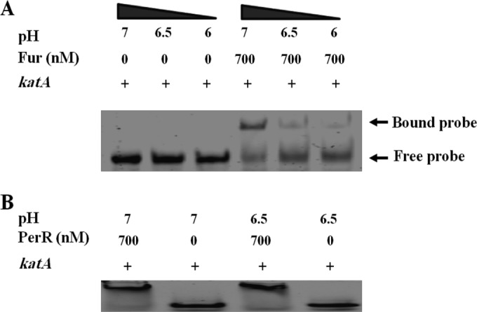 FIG 6