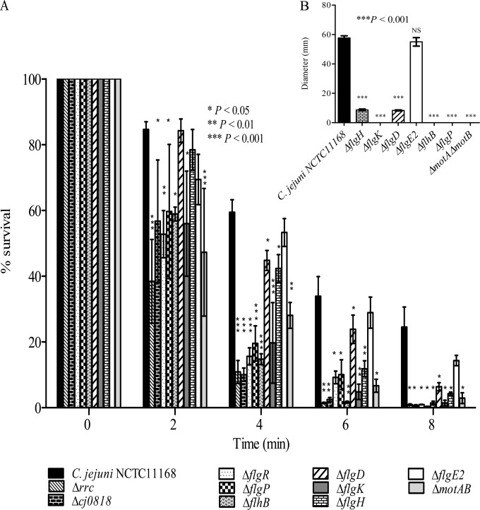 FIG 4