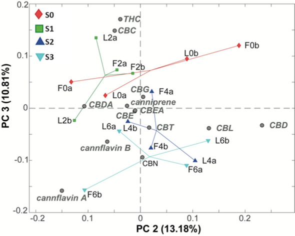 Figure 5