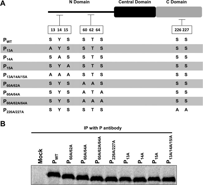 FIG 4