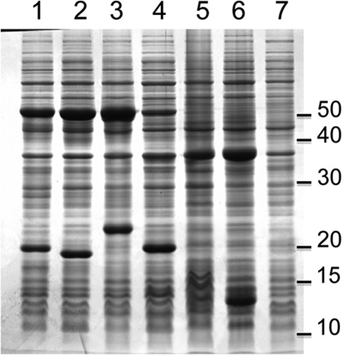 FIG 2