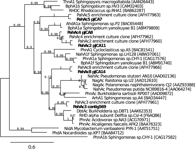 FIG 3