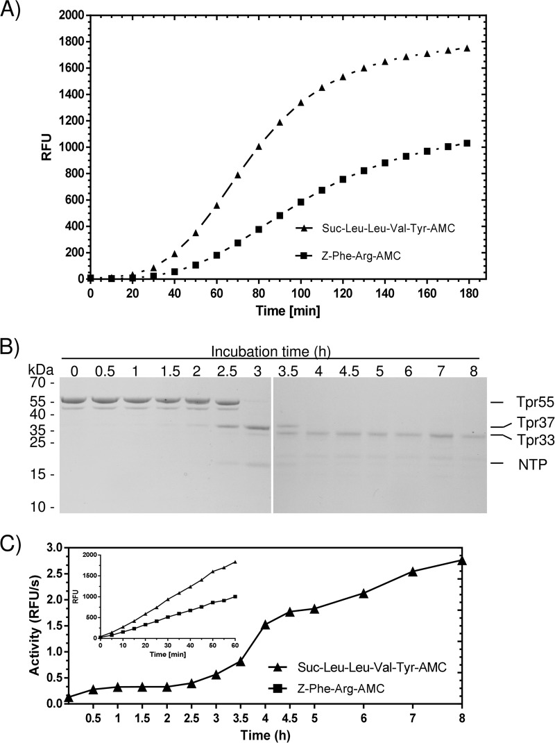 FIGURE 3.