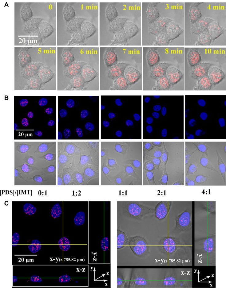 Figure 6.