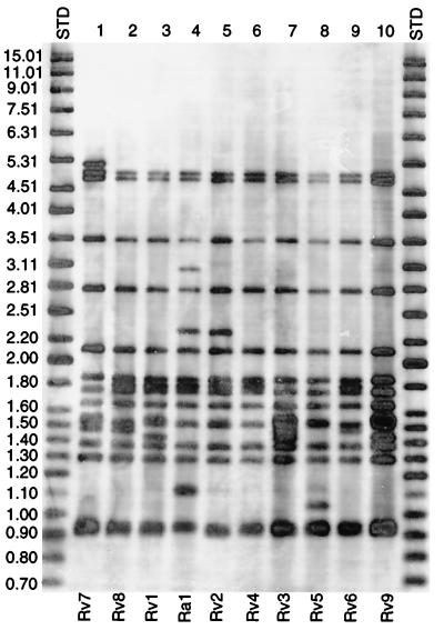 FIG. 1