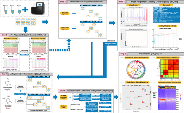 graphic file with name nihms-1775572-f0001.jpg