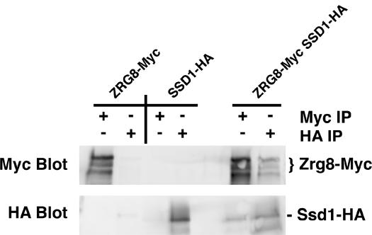 Figure 10.