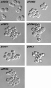 Figure 4.