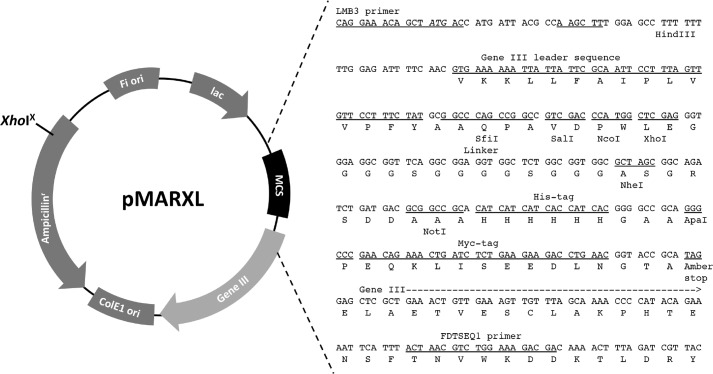 FIGURE 1.