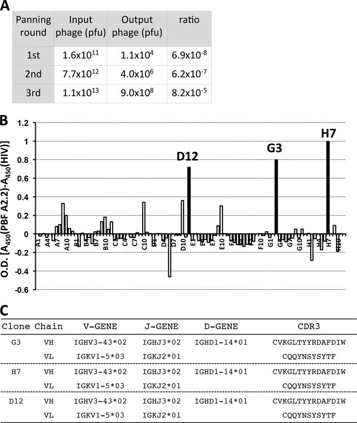 FIGURE 3.