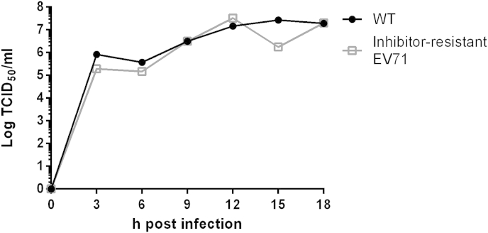 Fig. 4