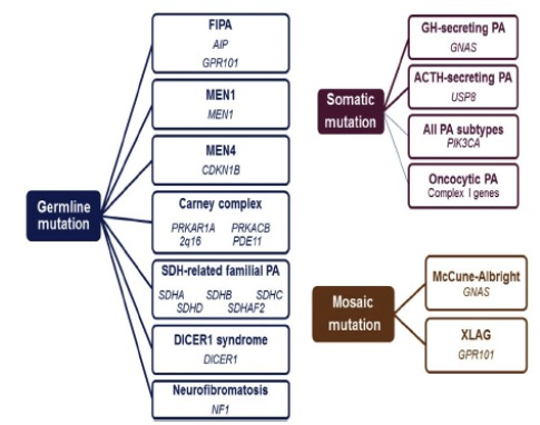 Fig. (2)