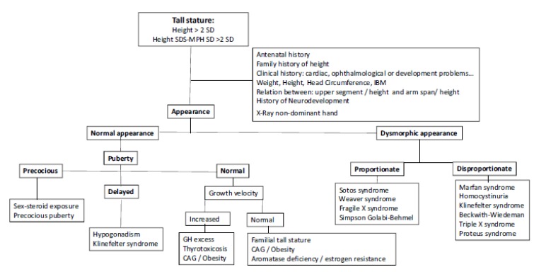 Fig. (1)