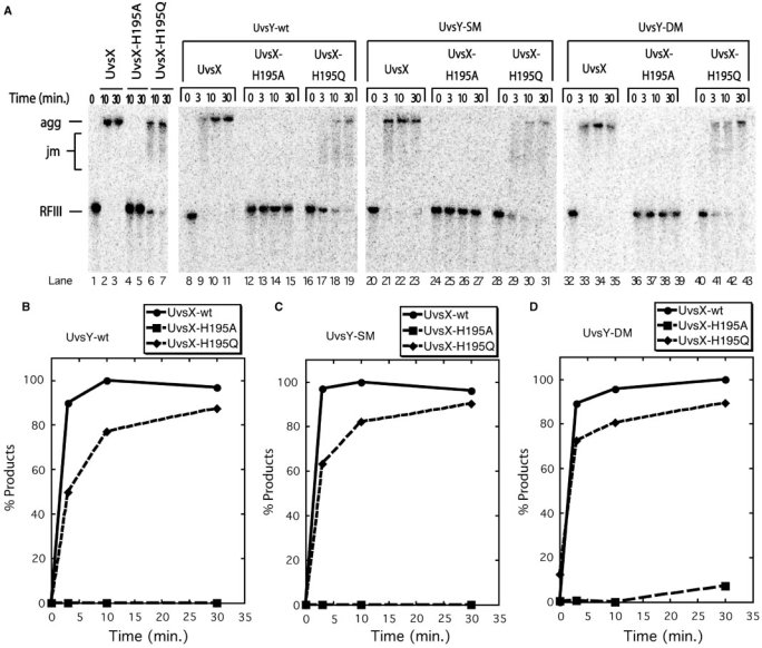 Figure 5.