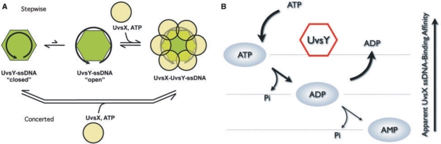 Figure 6.