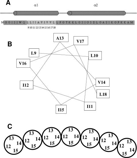 FIGURE 5.