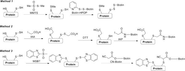 Figure 26