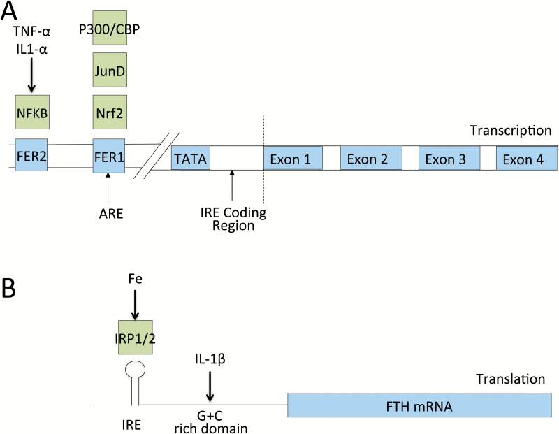 Fig. 3.