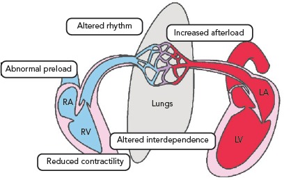 Figure 2: